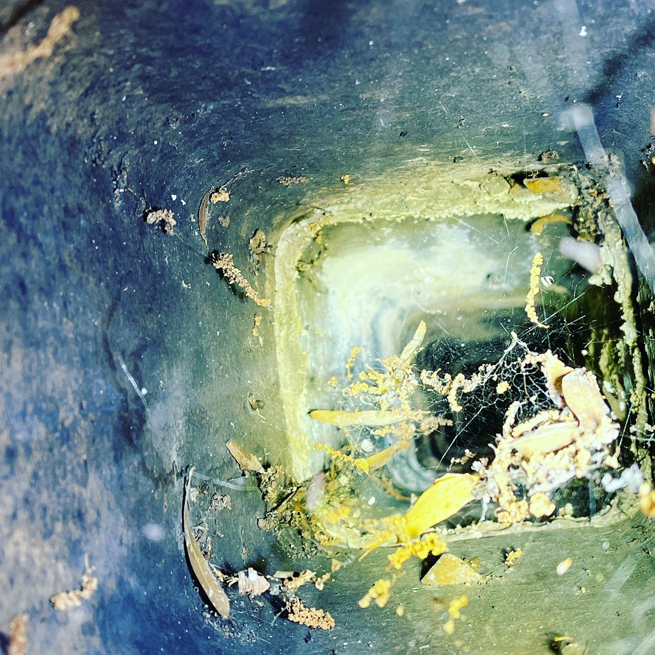 Chimney Needing Cleaned